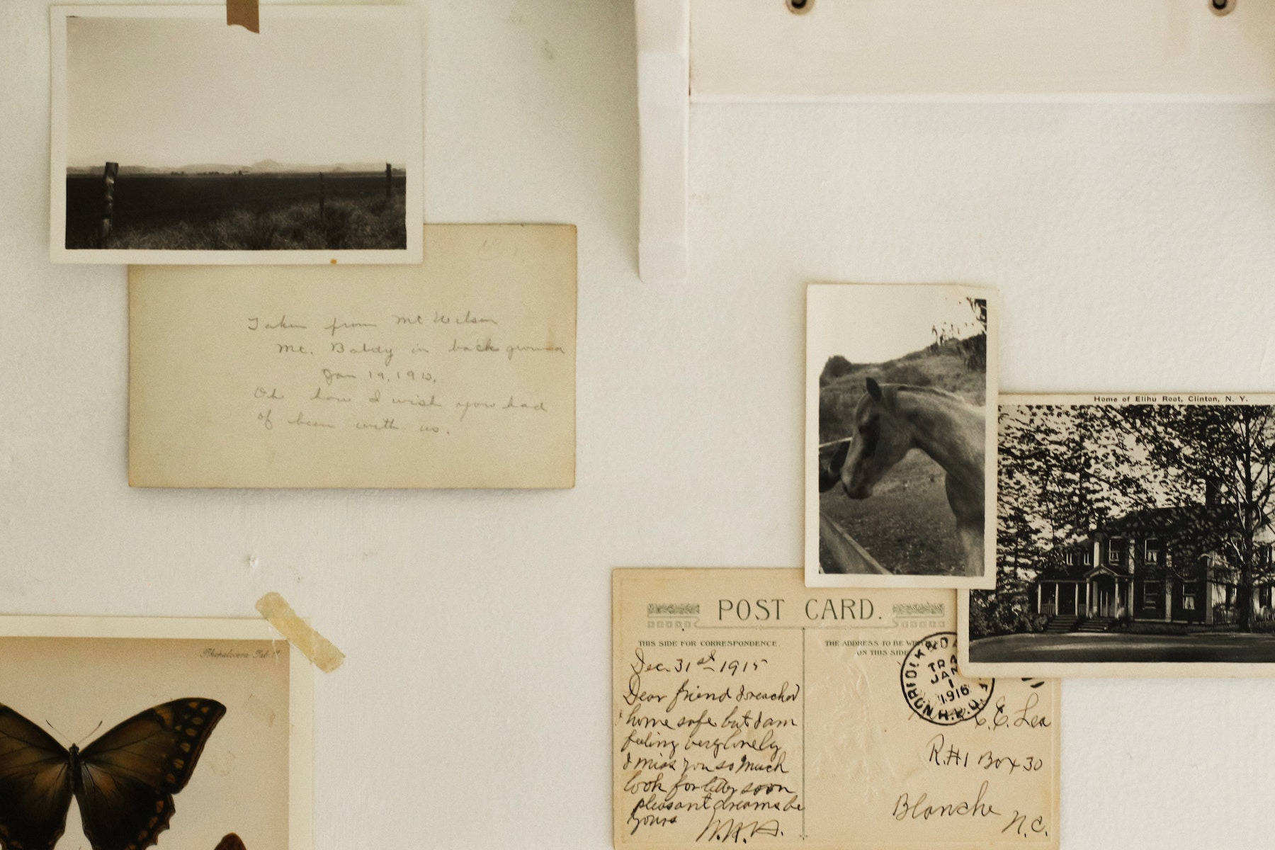 La storia della cartolina: foto di cartoline vintage in bianco e nero attaccate al muro.